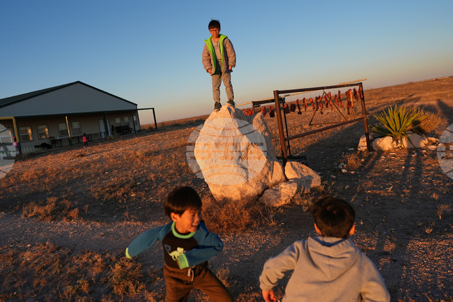 APTOPIX Digital Cage Exiled Official