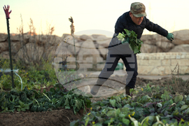 Digital Cage Exiled Official Photo Essay