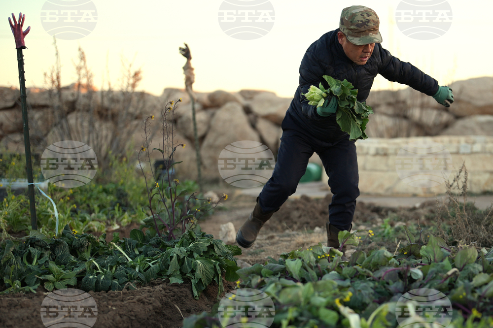 Digital Cage Exiled Official Photo Essay