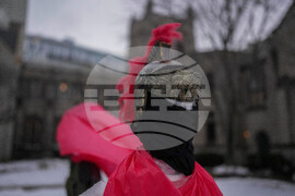 Federal Enforcement Nativity