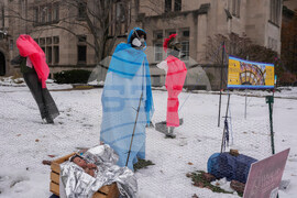 Federal Enforcement Nativity