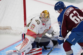 Panthers Avalanche Hockey