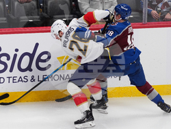 Panthers Avalanche Hockey