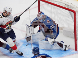 Panthers Avalanche Hockey