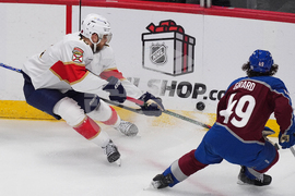 Panthers Avalanche Hockey