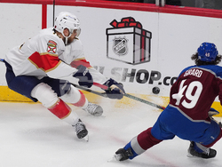 Panthers Avalanche Hockey