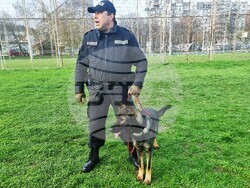 Варна - полицейски кучета - демонстрация