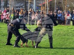 Варна - полицейски кучета - демонстрация