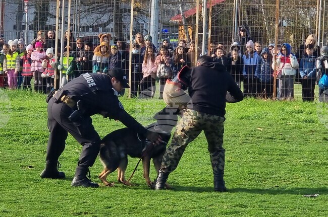Дребните породи също могат да бъдат полицейски кучета, женските са по-концентрирани, каза експерт от дирекцията на МВР във Варна