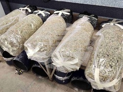 Снимка: Агенция „Митници“