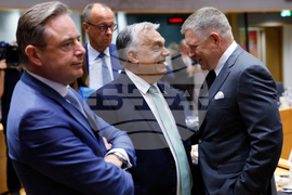 Europe Russia Assets