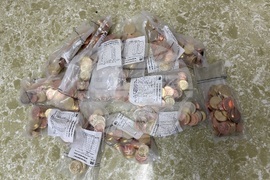 Самоков - Български пощи - евромонети