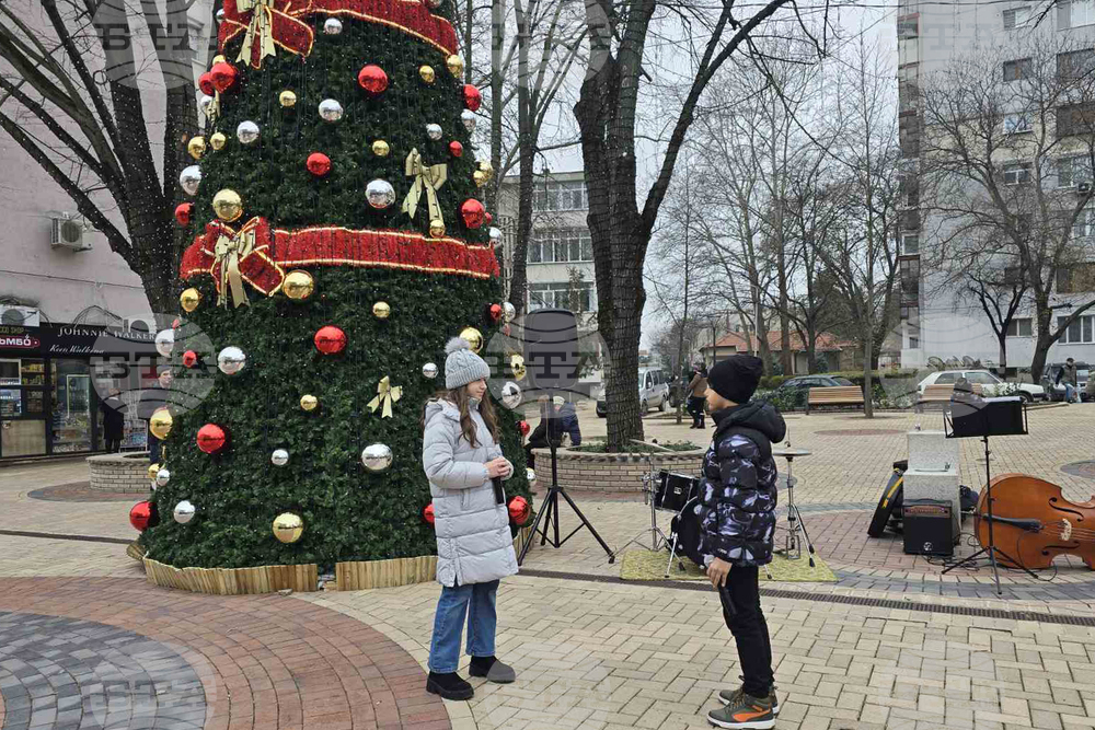Добрич - концерт край елхата