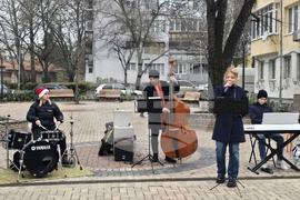 Добрич - концерт край елхата