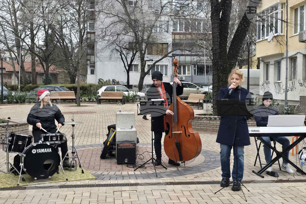 Добрич - концерт край елхата