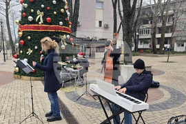 Добрич - концерт край елхата