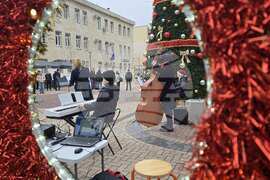 Добрич - концерт край елхата