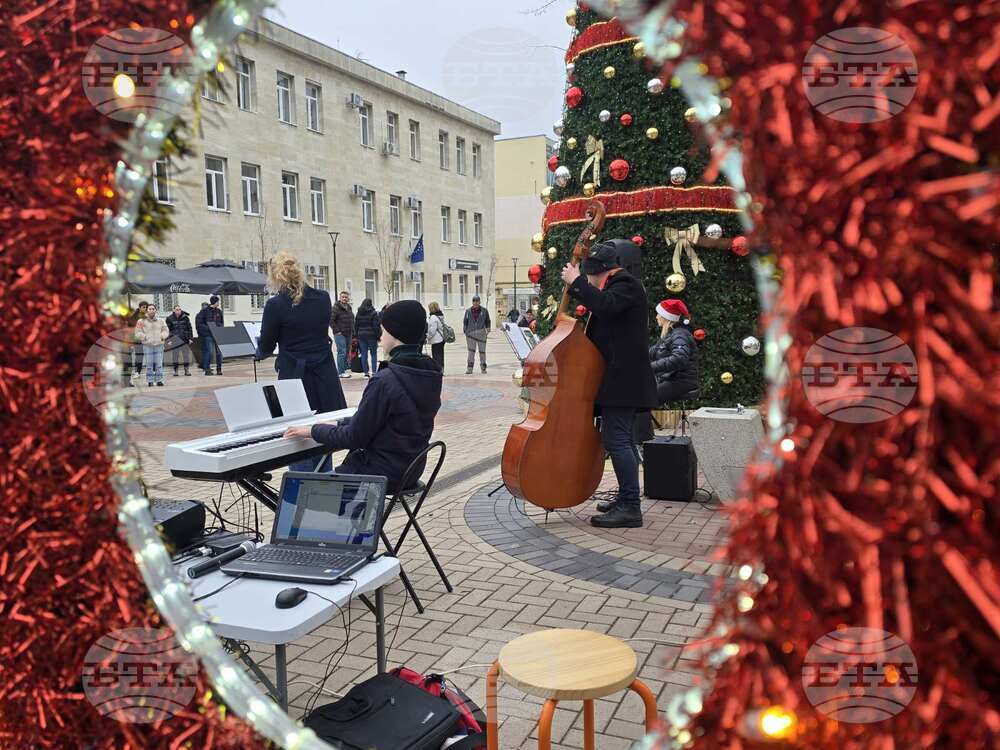 Добрич - концерт край елхата