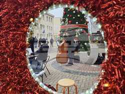 Добрич - концерт край елхата