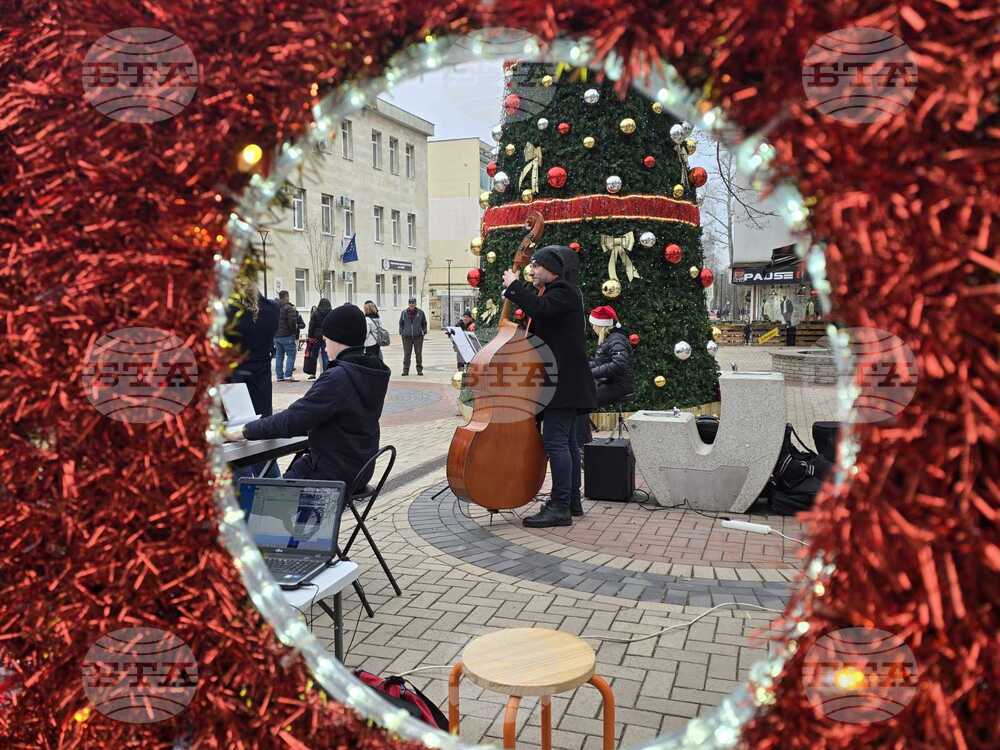 Добрич - концерт край елхата