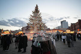 Japan Daily Life Holiday Lights