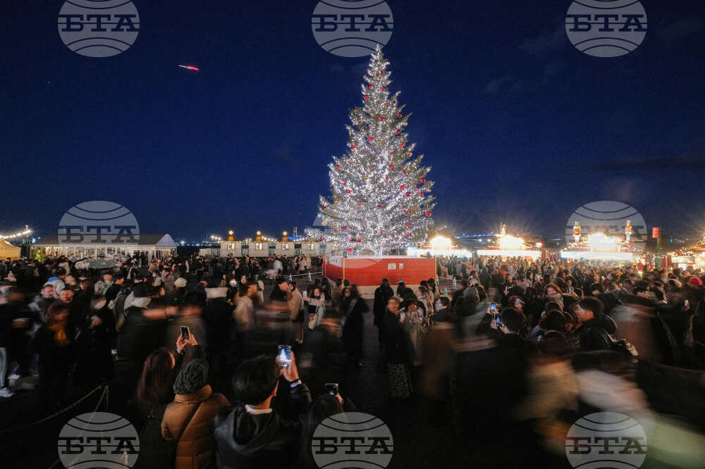 Japan Daily Life Holiday Lights