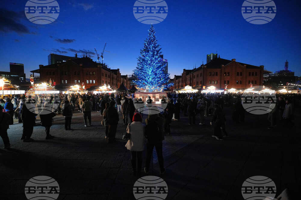 Japan Daily Life Holiday Lights