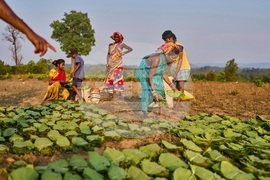 YE Climate 2025 Photo Gallery