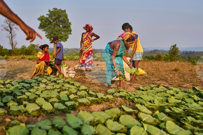 YE Climate 2025 Photo Gallery