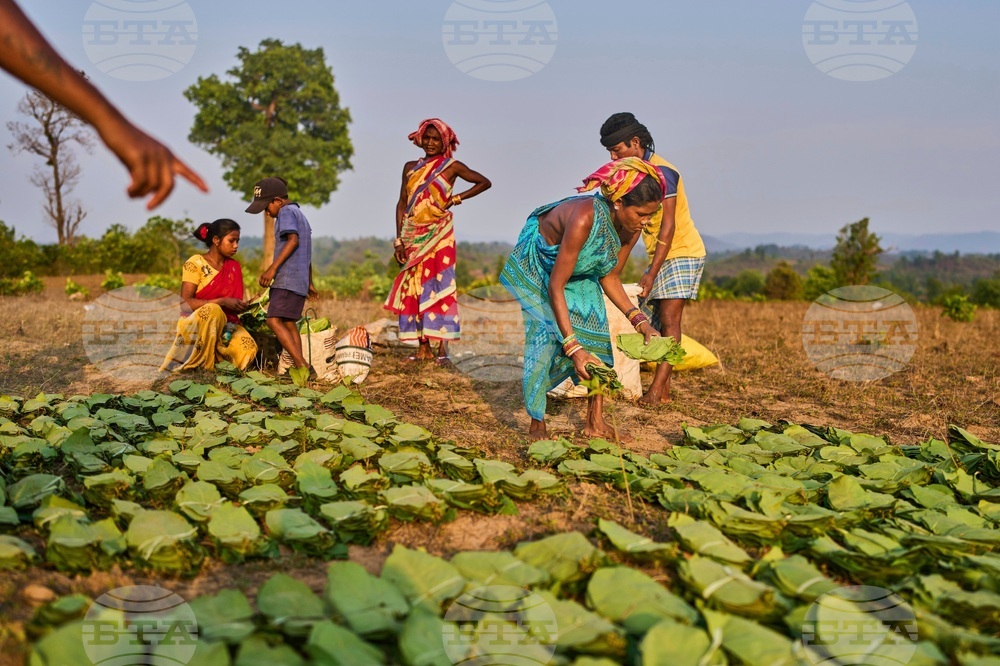 YE Climate 2025 Photo Gallery