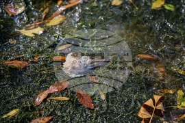 YE Climate 2025 Photo Gallery