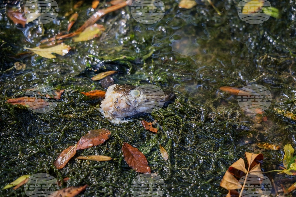 YE Climate 2025 Photo Gallery