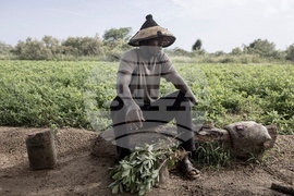 YE Climate 2025 Photo Gallery