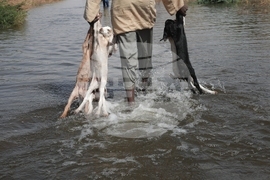 YE Climate 2025 Photo Gallery