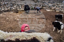 YE Climate 2025 Photo Gallery