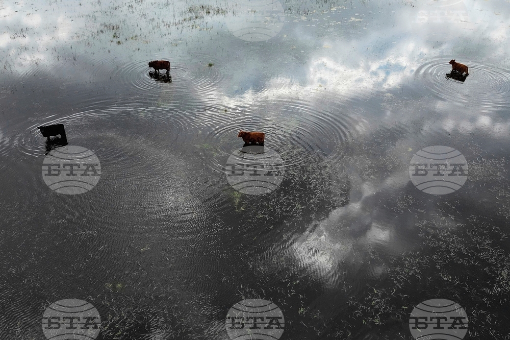 YE Climate 2025 Photo Gallery