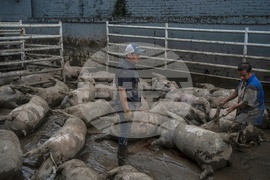 YE Climate 2025 Photo Gallery