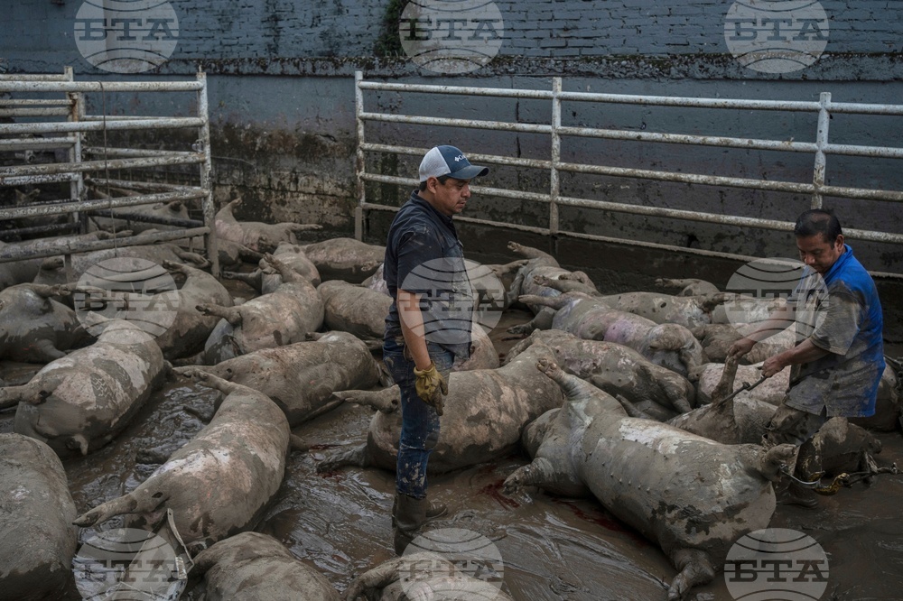 YE Climate 2025 Photo Gallery