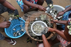 YE Climate 2025 Photo Gallery