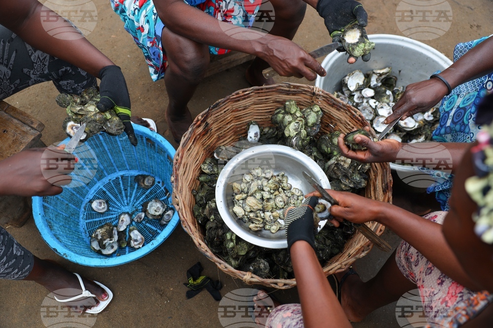 YE Climate 2025 Photo Gallery