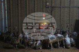 YE Climate 2025 Photo Gallery