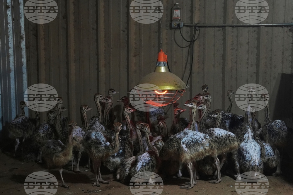 YE Climate 2025 Photo Gallery