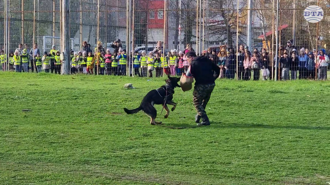 Дребните породи също могат да бъдат полицейски кучета, женските са по-концентрирани, каза експерт от дирекцията на МВР във Варна