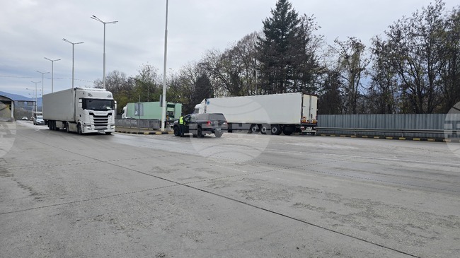 Опашки от тежкотоварни автомобили се образуват в района на граничния преход "Кулата – Промахон" заради ограничение в движението 