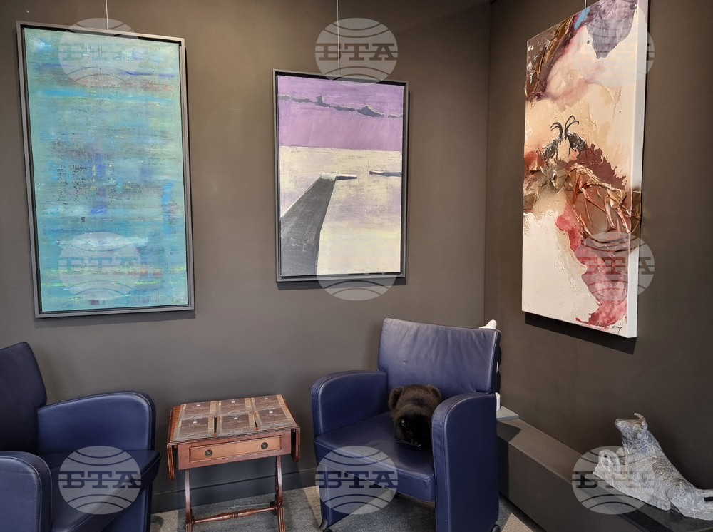 Варна - галерия „Папийон“ - сборна годишна изложба