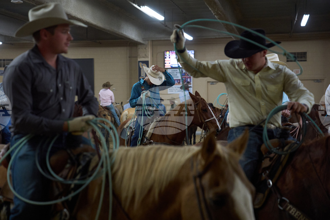 Rodeo Virus Outbreak