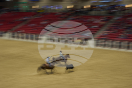 Rodeo Virus Outbreak