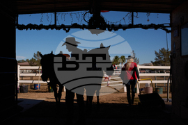 Rodeo Virus Outbreak