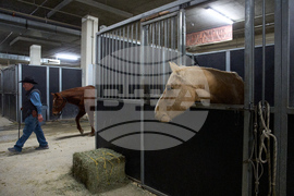 Rodeo Virus Outbreak