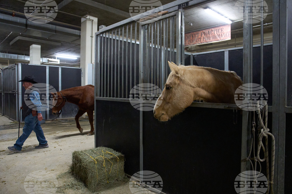 Rodeo Virus Outbreak